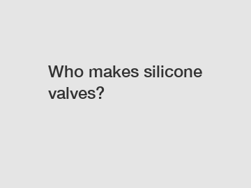 Who makes silicone valves?