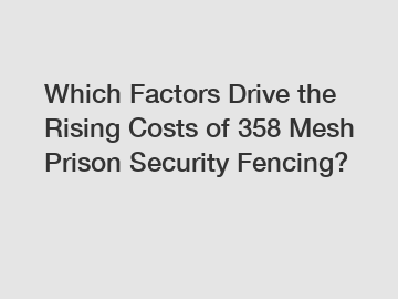 Which Factors Drive the Rising Costs of 358 Mesh Prison Security Fencing?