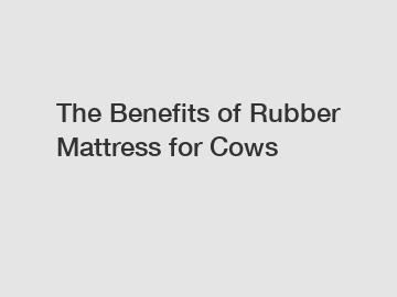 The Benefits of Rubber Mattress for Cows