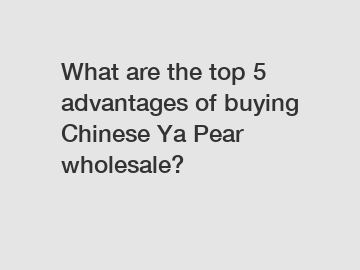 What are the top 5 advantages of buying Chinese Ya Pear wholesale?