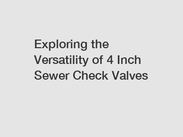 Exploring the Versatility of 4 Inch Sewer Check Valves