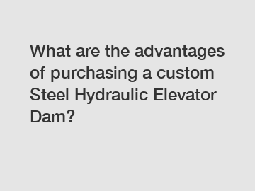 What are the advantages of purchasing a custom Steel Hydraulic Elevator Dam?
