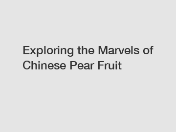 Exploring the Marvels of Chinese Pear Fruit