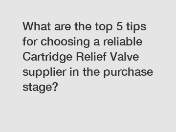 What are the top 5 tips for choosing a reliable Cartridge Relief Valve supplier in the purchase stage?