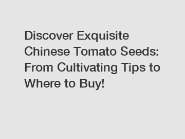 Discover Exquisite Chinese Tomato Seeds: From Cultivating Tips to Where to Buy!