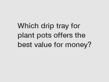 Which drip tray for plant pots offers the best value for money?