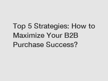 Top 5 Strategies: How to Maximize Your B2B Purchase Success?