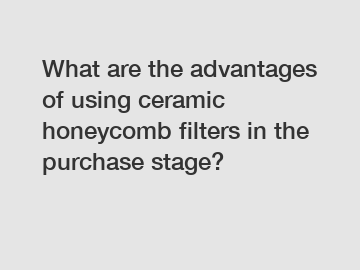 What are the advantages of using ceramic honeycomb filters in the purchase stage?