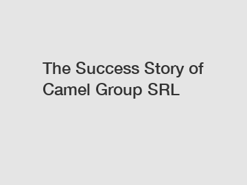 The Success Story of Camel Group SRL