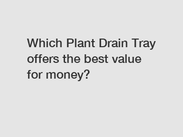 Which Plant Drain Tray offers the best value for money?