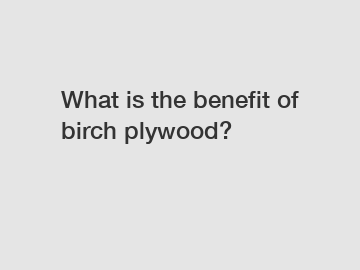 What is the benefit of birch plywood?