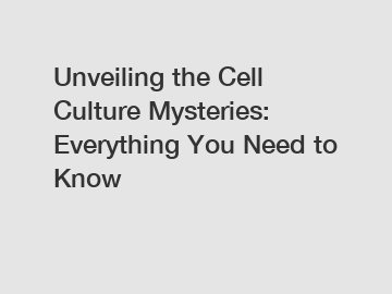 Unveiling the Cell Culture Mysteries: Everything You Need to Know