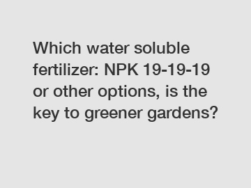 Which water soluble fertilizer: NPK 19-19-19 or other options, is the key to greener gardens?