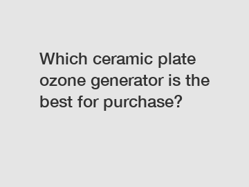 Which ceramic plate ozone generator is the best for purchase?