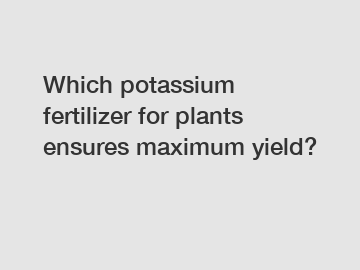 Which potassium fertilizer for plants ensures maximum yield?