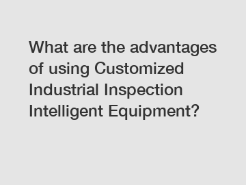 What are the advantages of using Customized Industrial Inspection Intelligent Equipment?