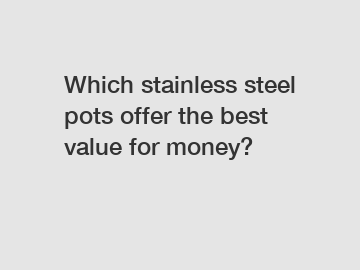 Which stainless steel pots offer the best value for money?