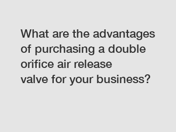 What are the advantages of purchasing a double orifice air release valve for your business?