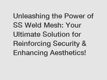 Unleashing the Power of SS Weld Mesh: Your Ultimate Solution for Reinforcing Security & Enhancing Aesthetics!