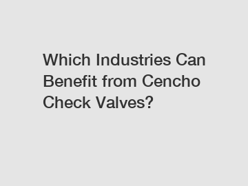 Which Industries Can Benefit from Cencho Check Valves?