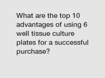 What are the top 10 advantages of using 6 well tissue culture plates for a successful purchase?