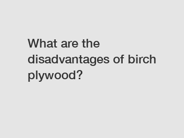 What are the disadvantages of birch plywood?
