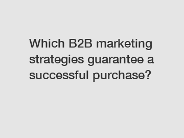 Which B2B marketing strategies guarantee a successful purchase?