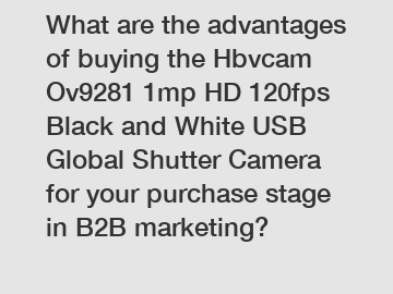 What are the advantages of buying the Hbvcam Ov9281 1mp HD 120fps Black and White USB Global Shutter Camera for your purchase stage in B2B marketing?