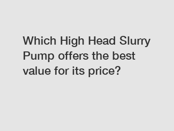 Which High Head Slurry Pump offers the best value for its price?