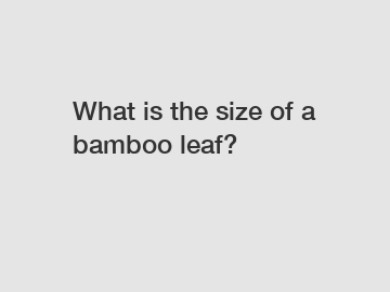 What is the size of a bamboo leaf?