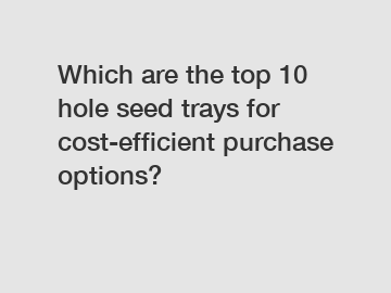 Which are the top 10 hole seed trays for cost-efficient purchase options?