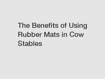 The Benefits of Using Rubber Mats in Cow Stables