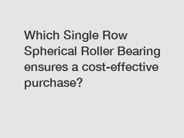 Which Single Row Spherical Roller Bearing ensures a cost-effective purchase?