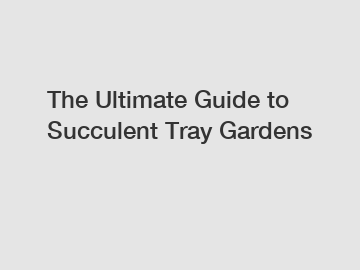 The Ultimate Guide to Succulent Tray Gardens