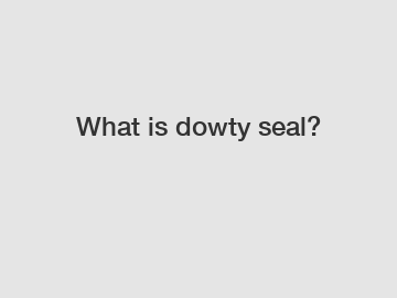 What is dowty seal?