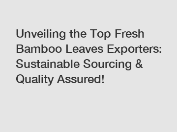 Unveiling the Top Fresh Bamboo Leaves Exporters: Sustainable Sourcing & Quality Assured!