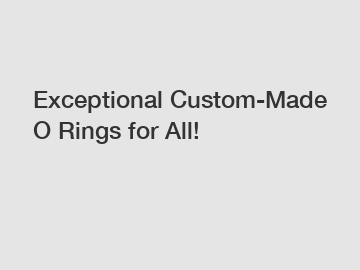 Exceptional Custom-Made O Rings for All!