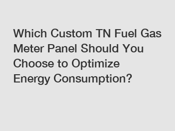 Which Custom TN Fuel Gas Meter Panel Should You Choose to Optimize Energy Consumption?