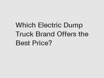 Which Electric Dump Truck Brand Offers the Best Price?