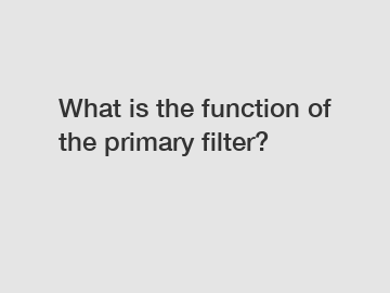 What is the function of the primary filter?