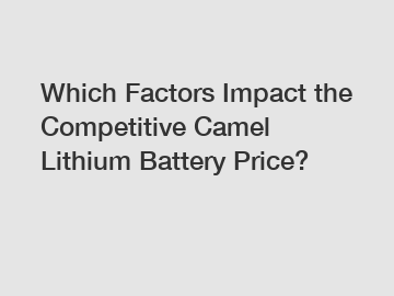 Which Factors Impact the Competitive Camel Lithium Battery Price?