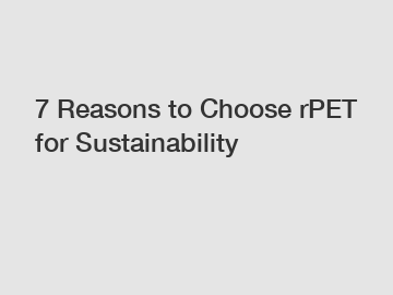 7 Reasons to Choose rPET for Sustainability