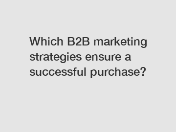 Which B2B marketing strategies ensure a successful purchase?