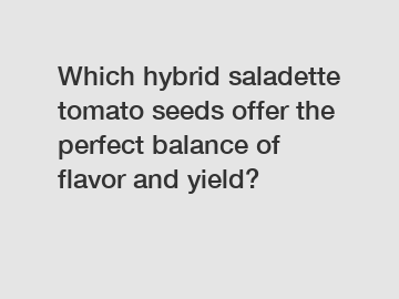 Which hybrid saladette tomato seeds offer the perfect balance of flavor and yield?