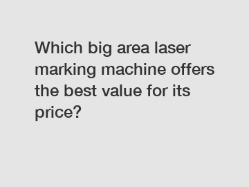 Which big area laser marking machine offers the best value for its price?