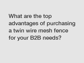 What are the top advantages of purchasing a twin wire mesh fence for your B2B needs?