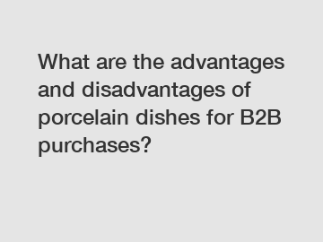 What are the advantages and disadvantages of porcelain dishes for B2B purchases?