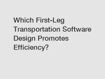 Which First-Leg Transportation Software Design Promotes Efficiency?