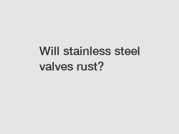 Will stainless steel valves rust?