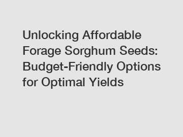 Unlocking Affordable Forage Sorghum Seeds: Budget-Friendly Options for Optimal Yields